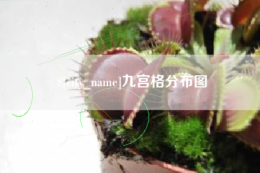 固始九宫格分布图