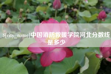 固始中国消防救援学院河北分数线是多少