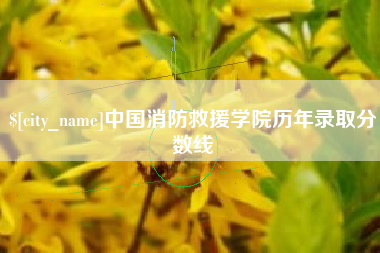 固始中国消防救援学院历年录取分数线