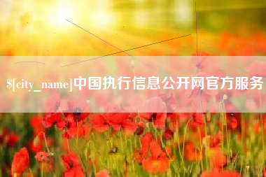 固始中国执行信息公开网官方服务