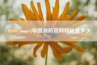 固始中国消防官网网址是多少