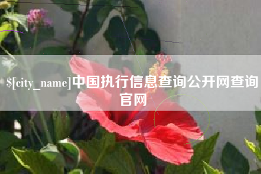 固始中国执行信息查询公开网查询官网