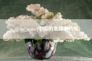 固始中国的金牌有几名