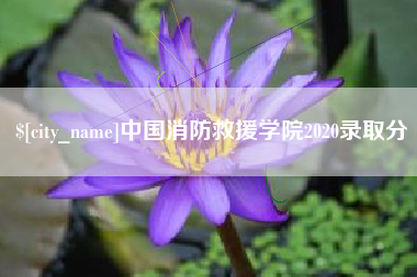 固始中国消防救援学院2020录取分
