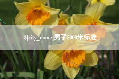 固始男子5000米标准