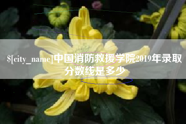 固始中国消防救援学院2019年录取分数线是多少