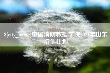 固始中国消防救援学院2021年山东招生计划