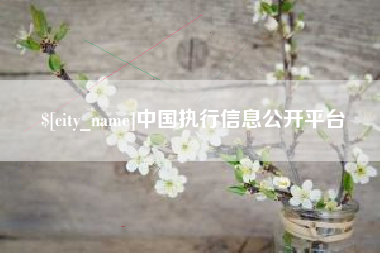 固始中国执行信息公开平台