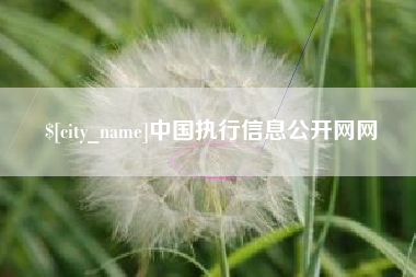 固始中国执行信息公开网网