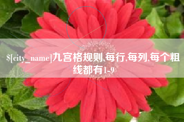 固始九宫格规则,每行,每列,每个粗线都有1-9