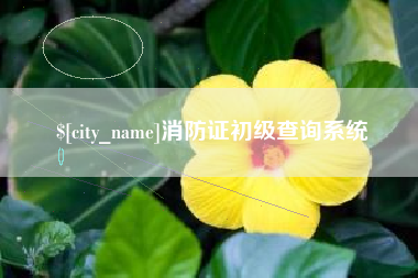 固始消防证初级查询系统