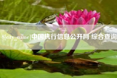 固始中国执行信息公开网 综合查询