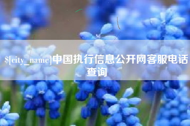 固始中国执行信息公开网客服电话查询