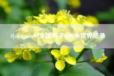固始全国男子5000米世界纪录