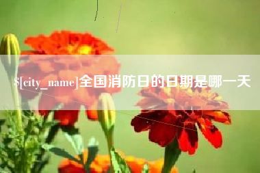 固始全国消防日的日期是哪一天