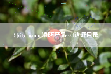 固始消防产品cccf认证目录