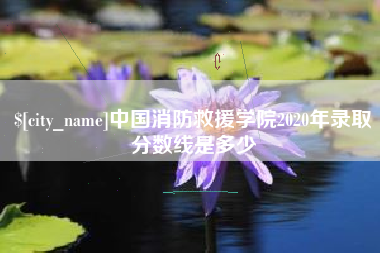 固始中国消防救援学院2020年录取分数线是多少