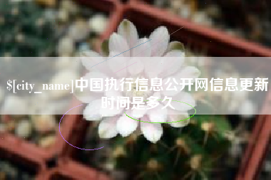 固始中国执行信息公开网信息更新时间是多久