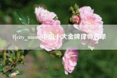 固始中国十大金牌律师名单
