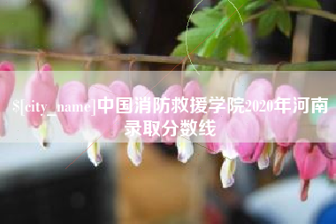 固始中国消防救援学院2020年河南录取分数线