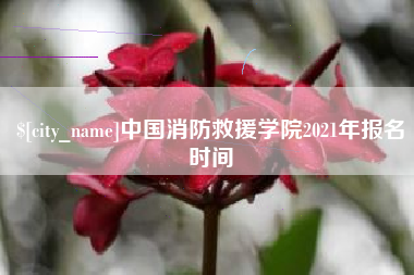 固始中国消防救援学院2021年报名时间