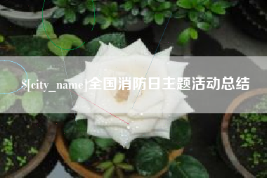 固始全国消防日主题活动总结