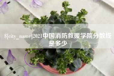 固始2021中国消防救援学院分数线是多少