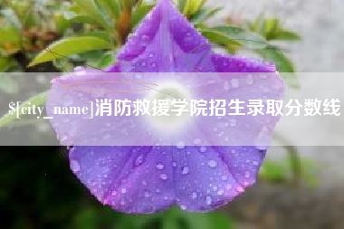 固始消防救援学院招生录取分数线