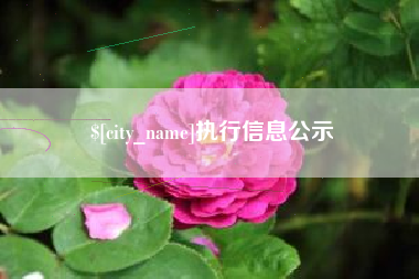 固始执行信息公示