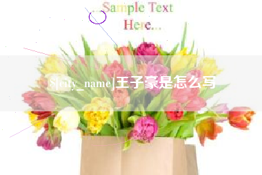 固始王子豪是怎么写