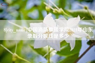 固始中国消防救援学院2021年山东录取分数线是多少