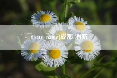 固始成都 消防