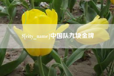 固始中国队九块金牌