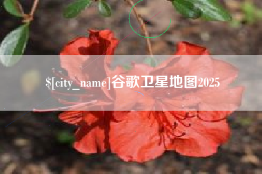 固始谷歌卫星地图2025