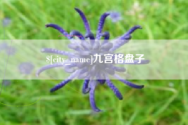 固始九宫格盘子