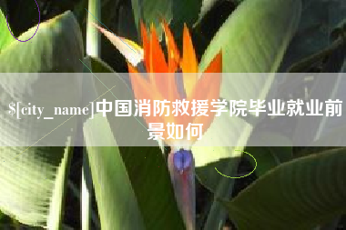 固始中国消防救援学院毕业就业前景如何