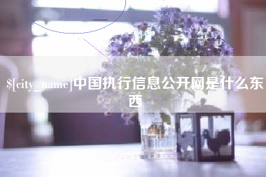 固始中国执行信息公开网是什么东西