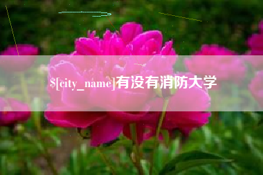 固始有没有消防大学