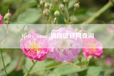 固始消控证官网查询
