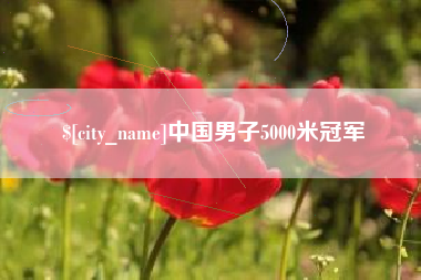 固始中国男子5000米冠军