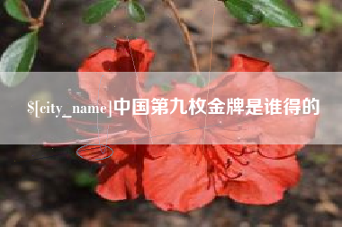 固始中国第九枚金牌是谁得的