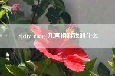 固始九宫格游戏叫什么