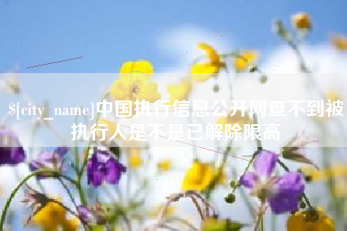 固始中国执行信息公开网查不到被执行人是不是已解除限高
