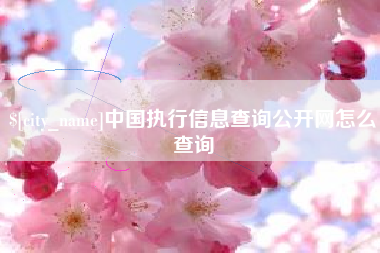 固始中国执行信息查询公开网怎么查询