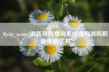 固始消防官网查询系统查询消防职业资格证书