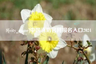 固始中国消防官网报名入口2024
