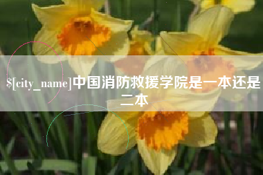 固始中国消防救援学院是一本还是二本