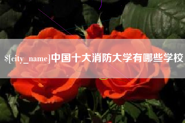 固始中国十大消防大学有哪些学校