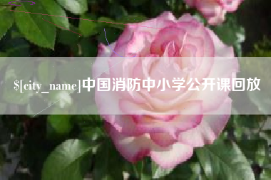 固始中国消防中小学公开课回放