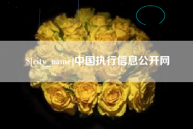 固始中国执行信息公开网